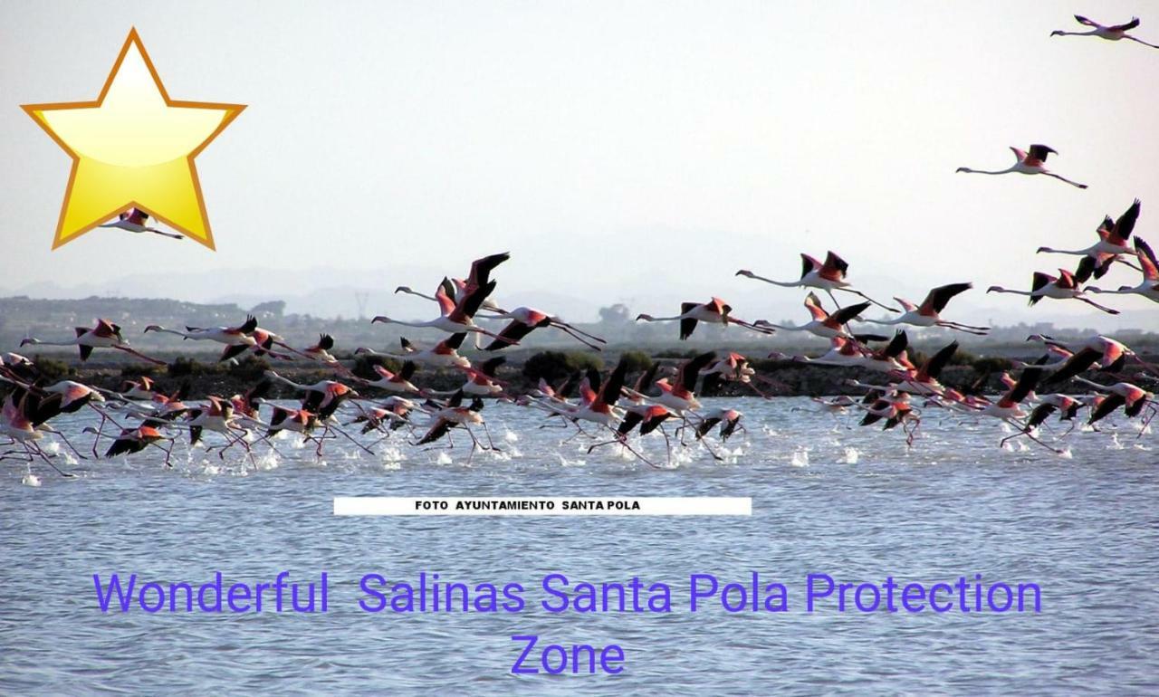 圣波拉Playa 500M Y Centro Pueblo 600M, Piscina, 4 Clim, 2 Parkings公寓 外观 照片